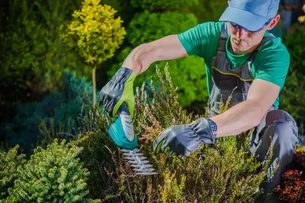 landscaping services Rose City